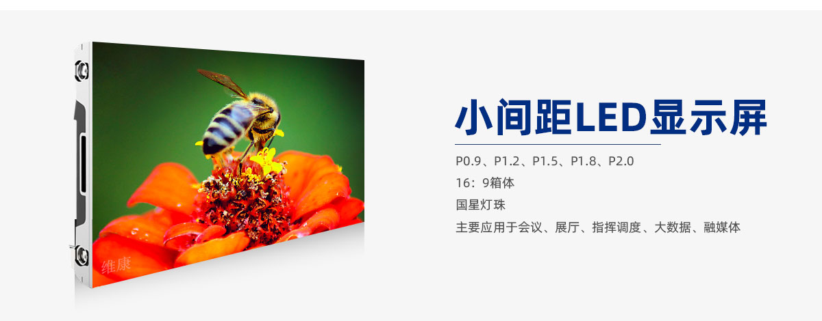 91看片免费APP