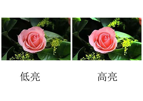 91看片下载网站國際lcd拚接屏多少錢？